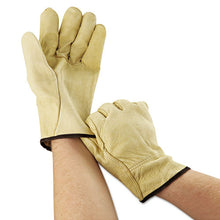 Load image into Gallery viewer, Unlined Pigskin Driver Gloves, Cream, Large, 12 Pairs
